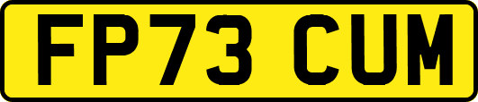 FP73CUM
