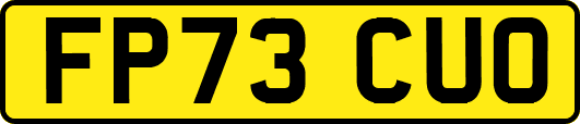 FP73CUO