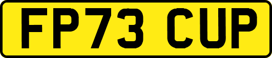 FP73CUP