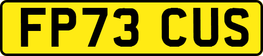 FP73CUS