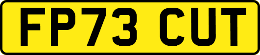 FP73CUT