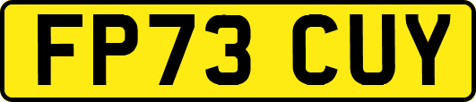 FP73CUY