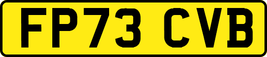 FP73CVB