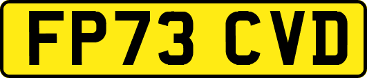 FP73CVD