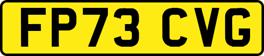 FP73CVG