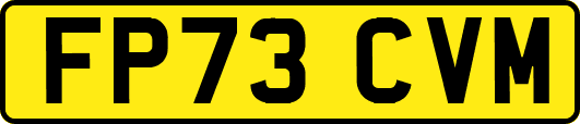 FP73CVM