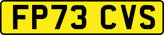 FP73CVS