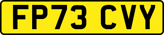 FP73CVY