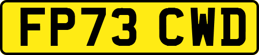 FP73CWD