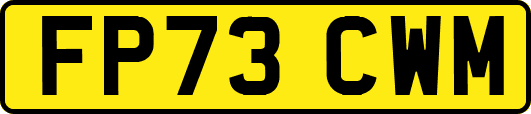 FP73CWM