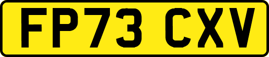 FP73CXV