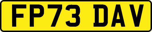 FP73DAV