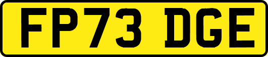 FP73DGE