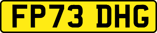 FP73DHG
