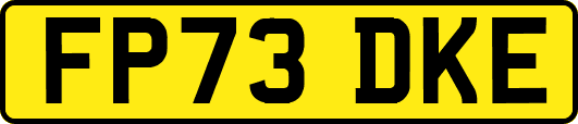 FP73DKE