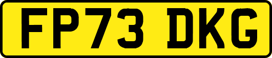 FP73DKG