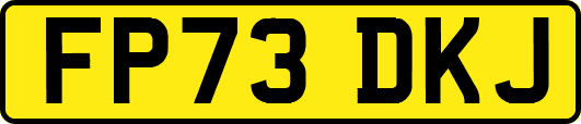 FP73DKJ
