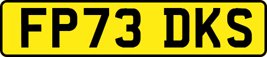 FP73DKS