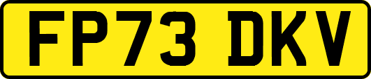 FP73DKV