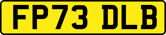 FP73DLB