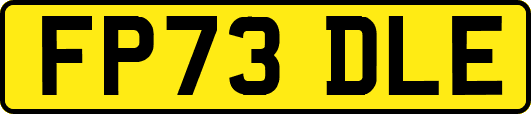 FP73DLE
