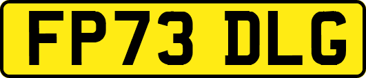 FP73DLG