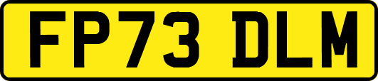 FP73DLM