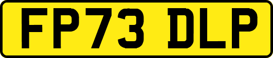 FP73DLP