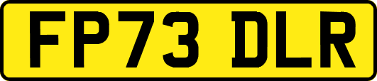 FP73DLR