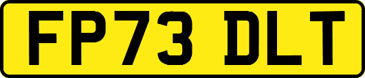 FP73DLT