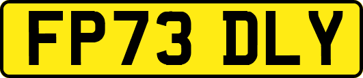 FP73DLY