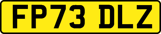 FP73DLZ