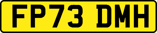 FP73DMH