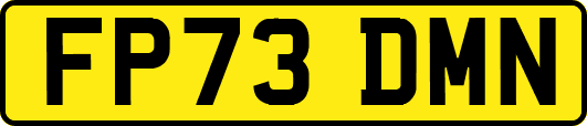 FP73DMN