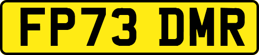 FP73DMR