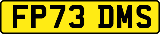 FP73DMS