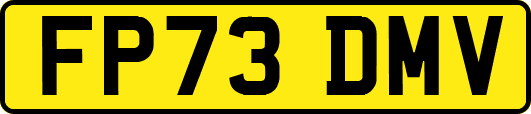 FP73DMV