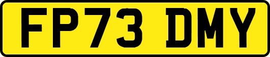 FP73DMY