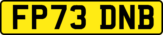FP73DNB