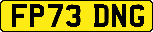 FP73DNG