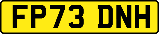 FP73DNH
