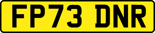 FP73DNR