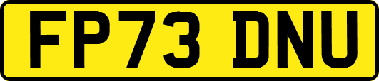 FP73DNU