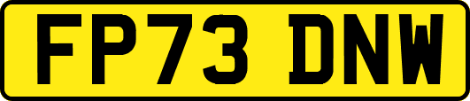 FP73DNW
