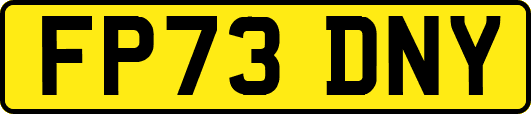 FP73DNY
