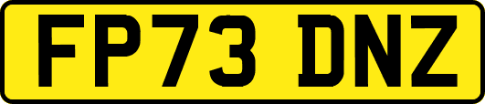 FP73DNZ