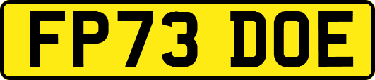 FP73DOE