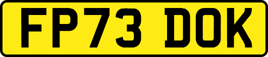 FP73DOK