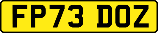 FP73DOZ