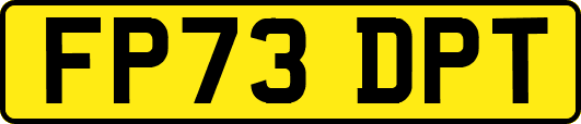 FP73DPT